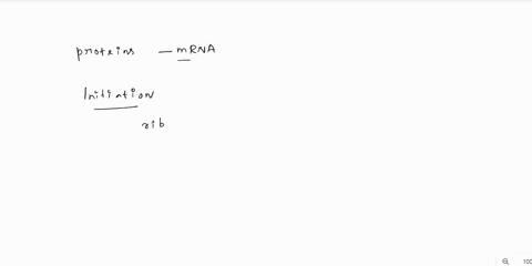 explain-the-two-steps-of-translation-that-require-gtp-hydrolysis-42764