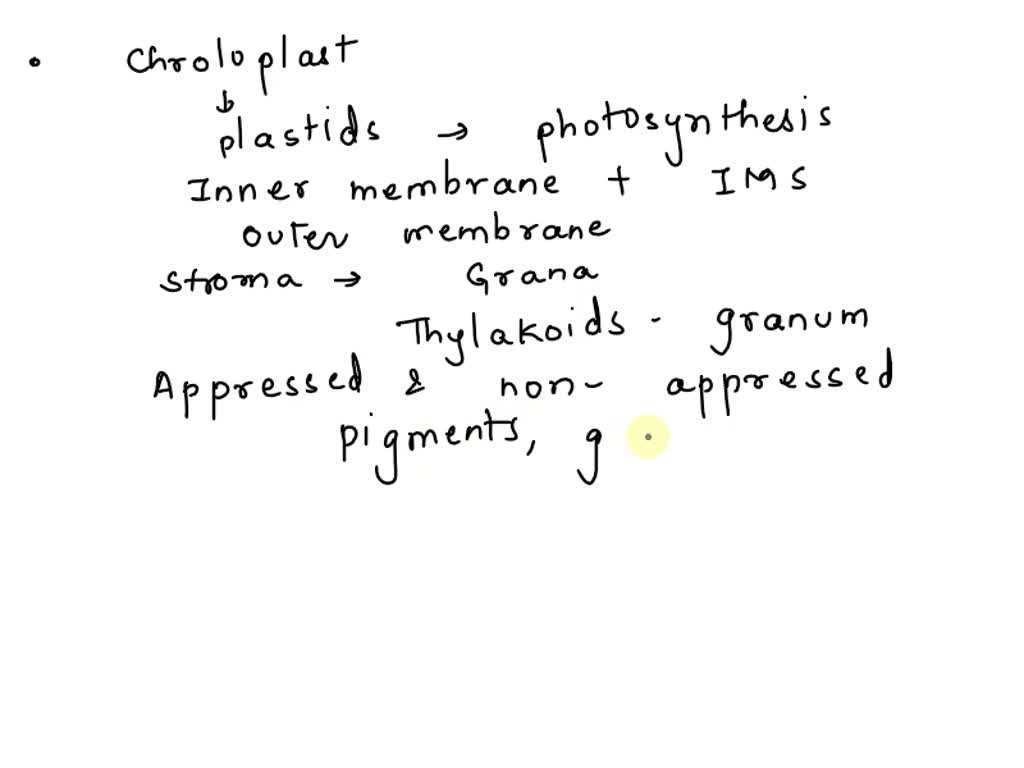 SOLVED: QUESTION 5 In a chloroplast, a group of thylakoids represents ...