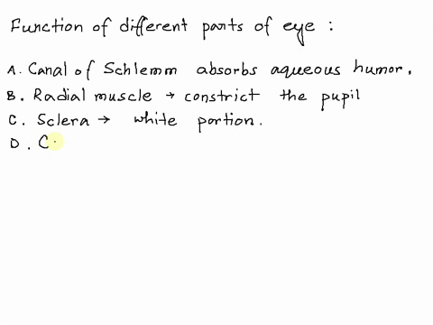 which-of-the-following-statements-are-true-of-the-parts-of-the-eye-read-carefully-and-select-all-the-correct-statements-a-vitreous-humor-is-reabsorbed-into-the-canal-of-schlemm-b-the-radial-10609