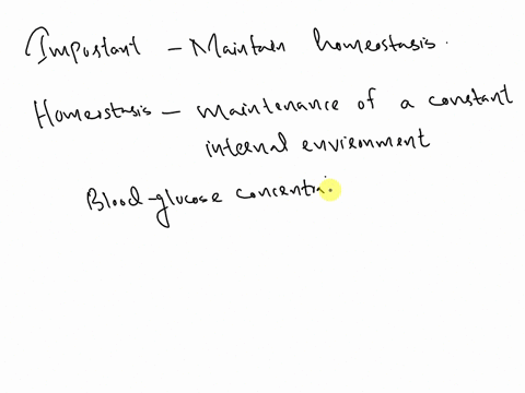 why-is-it-important-to-maintain-homeostasis-36337
