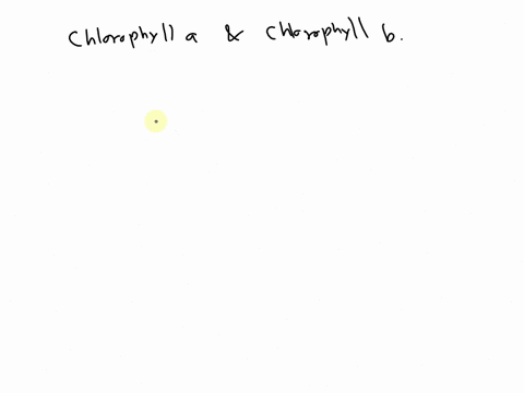 what-does-colors-of-light-do-chlorophyll-a-and-chlorophyll-b-absorb-energy-from-helppp-plz-24577
