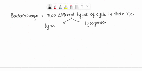 a-phage-capable-of-entering-either-the-lytic-or-lysogenic-cycle-is-called-a-a-competent-b-lysate-ctemperate-d-vector-12162