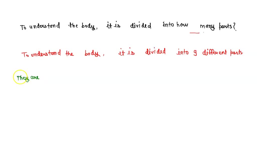 SOLVED the social stratification principle was divided into how many parts