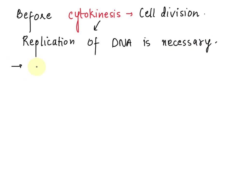 explain why a cell needs to replicate its DNA before the cell divides