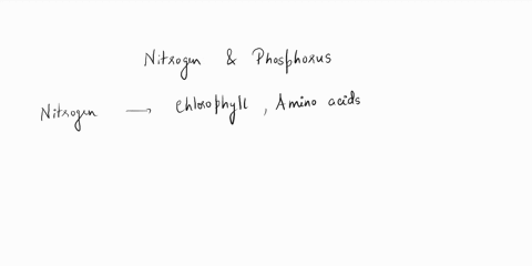 which-of-these-are-examples-of-inorganic-plant-nutrientsaeutrophication-and-oxygenb-phosphorus-and-nitrogen-c-oxygen-and-algal-bloomd-farms-and-lawns-57492