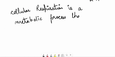 which-of-the-following-correctly-illustrates-the-process-of-cellular-respiration-water-carbon-dioxide-glucose-oxygen-atp-glucose-oxygen-carbon-dioxide-water-atp-glucose-atp-water-oxygen-carb-72433