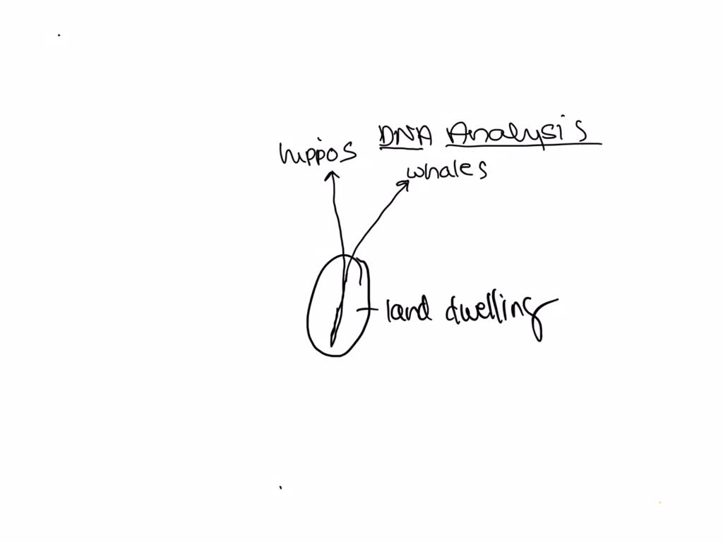 SOLVED: Fossil evidence suggests that whales evolved from land mammals