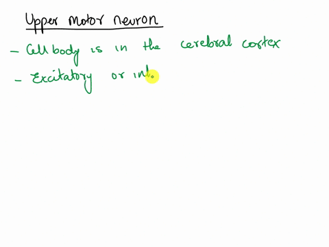 upper-motor-neuron-vslower-motor-neuron-classify-the-given-items-with-the-appropriate-group-cell-body-is-in-the-cerebral-cortex-excitatory-or-inhibitory-cell-body-in-the-anterior-horn-of-the-55885