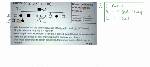 question-2-3-4-points-shown-pedigree-is-of-huntingtons-disease-there-are-no-carriers-for-huntingtons-disease-you-either-have-it-or-you-dont-which-members-of-the-family-above-are-afflicted-wi-45693