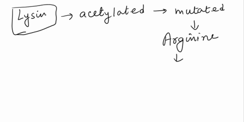 what-would-happen-if-a-lysine-residue-that-was-normally-acetylated-was-mutated-to-an-arginine-note-arginine-is-a-positively-charged-amino-acid-that-cannot-be-acetylated-for-the-purpose-of-th-99372