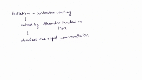 which-of-the-following-events-triggers-the-subsequent-steps-of-excitation-contraction-coupling-a-release-of-calcium-ions-from-the-terminal-cisterns-of-the-sarcoplasmic-reticulum-b-propagatio-70693