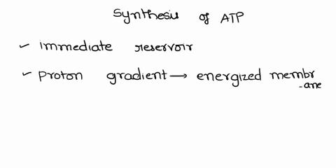 16-synthesis-of-atp-by-oxidative-phosphorylation-is-a-seriously-endergonic-reaction-what-is-the-immediate-reservoir-of-stored-energy-that-drives-this-process-the-electron-transport-chain-b-o-30462