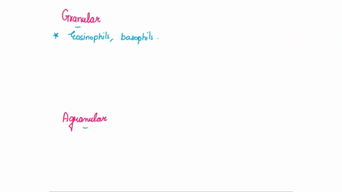 distinguish-between-granular-and-agranular-leukocytes-white-blood-cells-by-sorting-the-choices-into-their-respective-categories-grenular-leukostes-somatimes-called-the-eosinophals-aro-mononu-69345