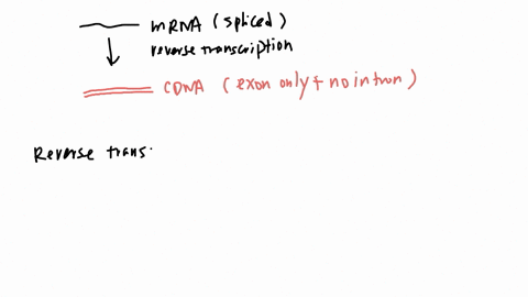 genomic-vs-cdna-libraries-on-the-left-are-several-characteristics-of-dna-libraries-decide-if-each-characteristic-is-true-of-genomic-library-cdna-library-or-of-both-and-drag-the-characteristi-40287