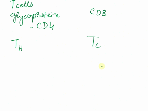 differentiate-between-cd4-and-cd8-t-cells-including-a-how-they-are-activated-class-i-vs-class-ii-mhcs-b-which-t-cells-they-differentiate-into-once-they-are-activated-and-c-the-roles-of-these-56956