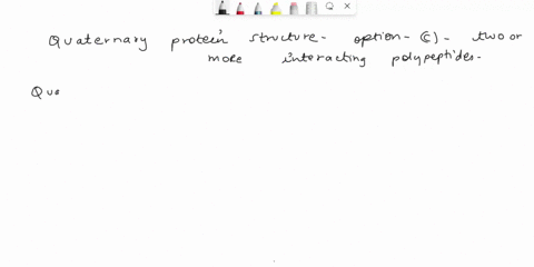 quaternary-protein-structure-refers-to-a-interactions-betw-een-polypeptide-chains-and-water-b-regular-three-dimensional-structures-like-siras-or-sheets-c-two-or-moreinteracting-polypeptides-38228