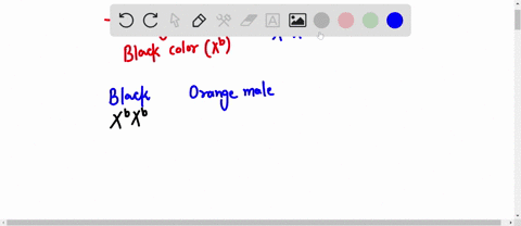 please-explain-question-5-5-in-some-cats-black-color-is-due-to-a-sex-linked-x-linked-recessive-allele-xb-the-dominant-allele-xb-produces-orange-color-the-heterozygote-xbxb-is-calico-what-kin-33013