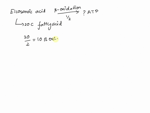 what-is-the-number-of-atp-molecules-produced-by-the-beta-oxidation-of-eicosanoic-acid-90514