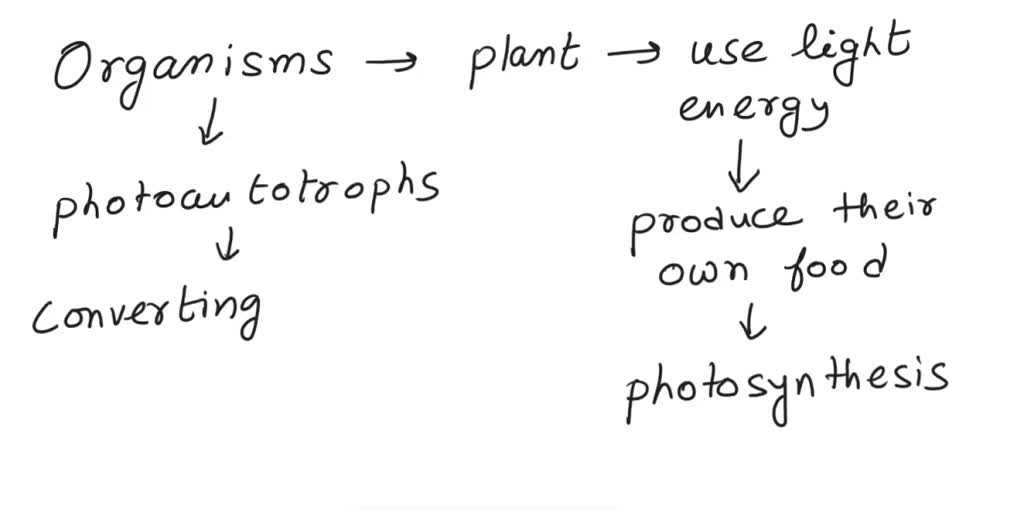 SOLVED Organisms such as plants that use light to make their own food are known as A