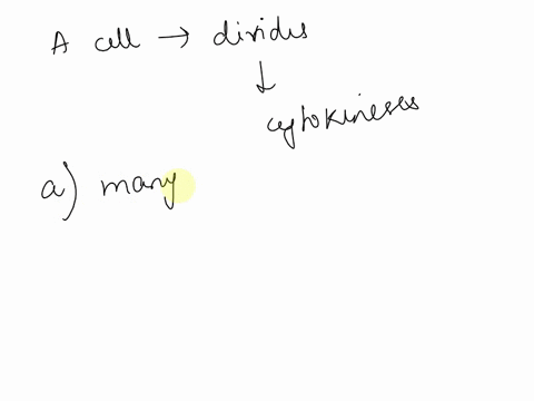 in-the-cells-of-some-organisms-mitosis-occurs-without-cytokinesis-this-will-result-in-a-cells-with-more-than-one-nucleus-b-destruction-of-chromosomes-c-cells-lacking-nuclei-d-cell-cycles-lac-18523