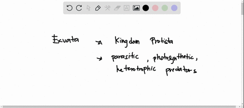 which-of-the-following-is-true-about-excavata-0-it-contains-only-photosynthetic-supergroup-as-discussed-in-class-unicellular-free-living-organisms-it-contains-some-members-without-mitochondr-61062