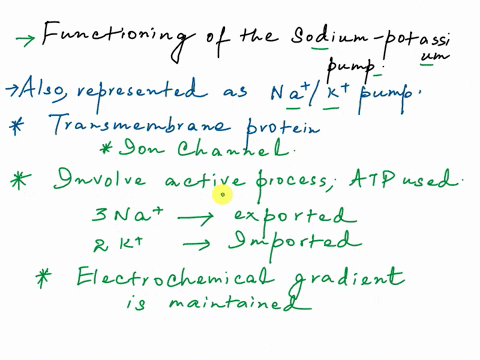 the-activity-of-the-sodium-potassium-pump-results-in-the-movement-of-which-ions-across-the-plasma-membrane-70704