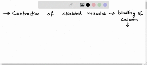 contraction-of-skeletal-muscles-is-initiated-by-binding-of-calcium-into-90632