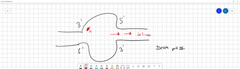 describe-the-process-of-dna-replication-the-ingredients-needed-the-steps-in-the-process-and-the-fina-68133