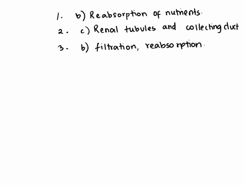 urinary-system-review-questions-1-which-of-the-following-functions-is-not-performed-by-the-kidneys-6a-renal-pyramid-is-composed-of-anumerous-glomerular-capsules-b-interlobular-and-arcuate-ve-22825