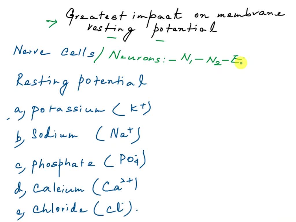 SOLVED: ions have greatest influence on resting membrane potential ...
