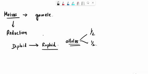 at-meiosis-i-homologous-chromosomes-separate-so-that-each-daughter-cell-receives-only-one-copy-of-an-allele-which-of-mendels-laws-describes-this-observation-independent-assortment-b-segregat-29761