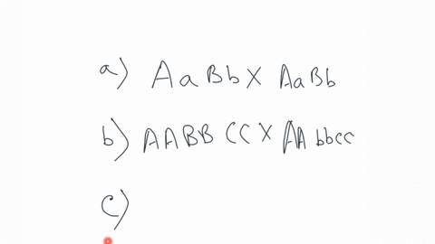 what-proportion-of-the-offspring-of-the-following-crosses-involving-independent-segregation-will-be-homozygous-for-all-gene-pairs-show-the-result-of-the-cross-a-aabb-x-aabb-b-aabbcc-x-aabbcc-c-aabbcc-