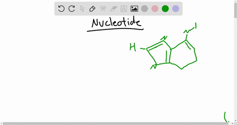 draw-out-the-basic-structure-of-a-nucleotide-for-dna-label-each-component-29082