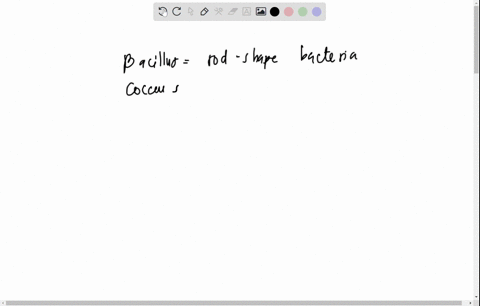 question-15-5-pts-15-bacteria-possess-two-sets-of-enzymes-involved-in-peptidoglycan-synthesis-the-elongation-enzymes-and-the-crosswall-enzymes-explain-how-the-relative-rates-of-activity-of-t-70903