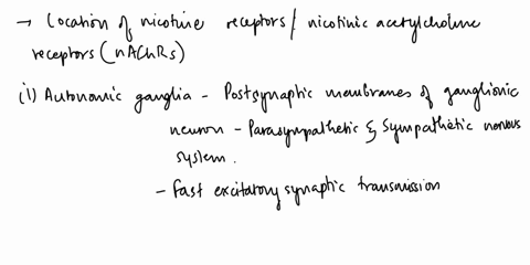 nicotinic-receptors-are-located-in-ganglionic-neurons-of-the-parasympathetic-division-ganglionic-neurons-of-the-sympathetic-division-membranes-of-skeletal-muscle-cells-both-a-and-6-all-of-th-06683
