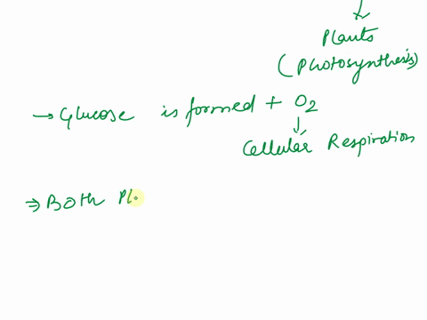 what-is-the-textbook-solution-for-this-questions-during-cellular-respiration-mitochondria-break-down-carbohydrates-to-produce-energy-that-is-used-to-make-atp-this-process-requires-oxygen-and-43888