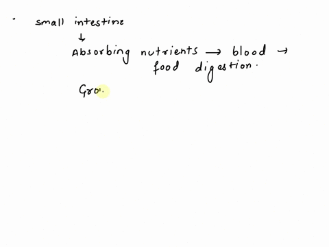 the-small-intestine-is-part-of-the-digestive-system-which-statement-describes-how-another-organ-system-interacts-with-the-digestive-system-a-the-nervous-system-breaks-down-foods-into-smaller-18267