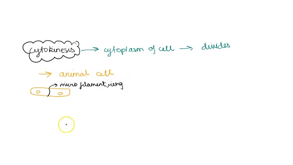SOLVED The micrograph below shows by the presence of the cell