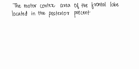 which-answer-is-topographical-type-map-that-illustrates-which-areas-of-the-brain-are-dedicated-to-processing-motor-control-in-certain-areas-of-the-body-motor-homunculus-sensory-homunculus-br-96972