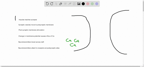 question-34-number-the-events-of-synaptic-transmission-in-the-correct-order-6pts-answers-impulse-reaches-synapse-from-the-axon-docking-proteins-cause-synaptic-vesicles-to-move-to-presynaptic-88702