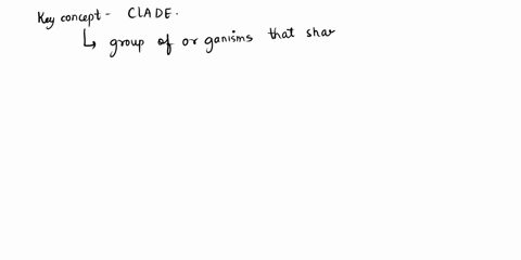 refer-to-the-phylogenetic-tree-belov-each-terminal-taxon-i5-single-species-uu-mn-which-group-of-species-would-ba-classified-09-single-clade-uu-wmw-yy-and-zz-all-of-the-above-nand-zz-none-cf-46419