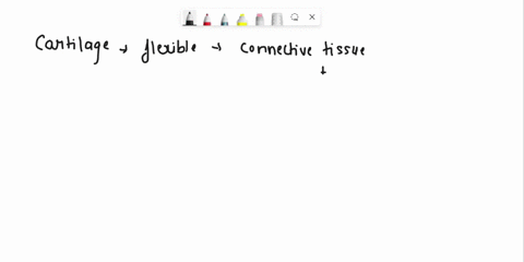 structures-on-model-identify-euch-of-the-following-type-that-diagran-and-write-the-iio-fartlrtd-then-describe-why-that-cartilage-type-comprises-it-functions-best-for-al-structure-epiglottis-56376