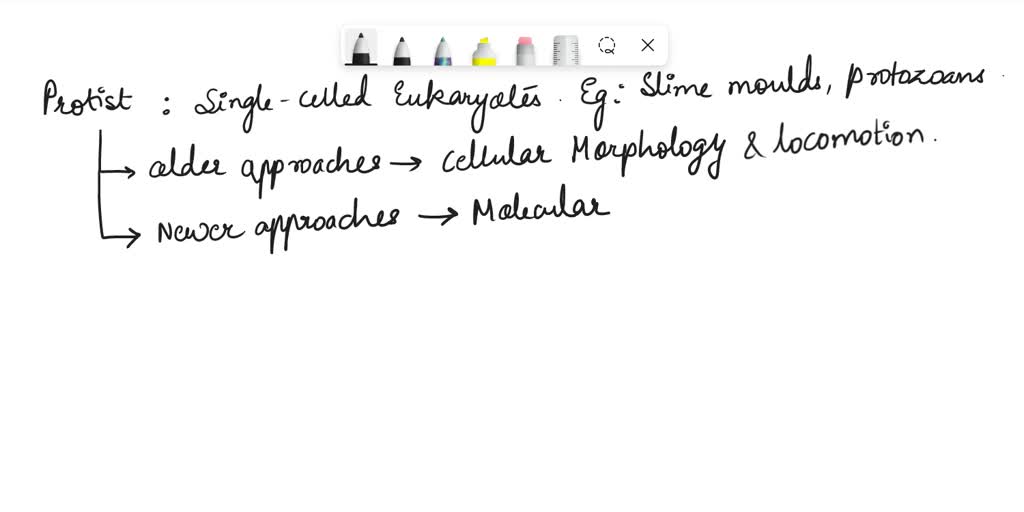 SOLVED Protist taxonomy has changed greatly in recent years as