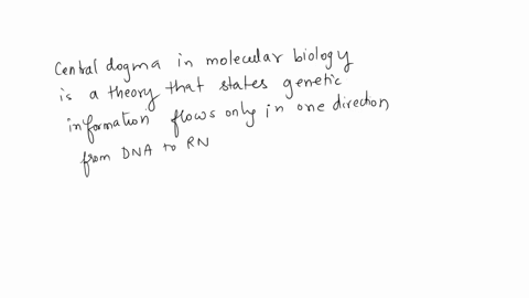whih-of-the-following-is-in-accordance-with-the-central-dogma-of-biology-odna-rna-protein-oprotein-rna-dna-rna-dna-protein-rna-protein-dna-53045