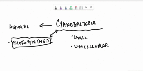 which-of-the-following-is-true-about-cyanobacteria-they-are-prokaryotic-photosynthesizers-they-live-in-and-near-hydrothermal-vents-and-use-chemical-energy-to-create-organic-molecules-they-li-20522