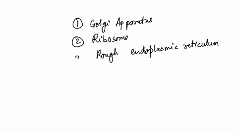 match-the-function-listed-to-the-organelle-responsible-packages-and-send-vesicles-to-different-parts-of-cell-builds-proteins-packages-proteins-directly-in-to-membrane-extra-membrane-for-packaging-or-c