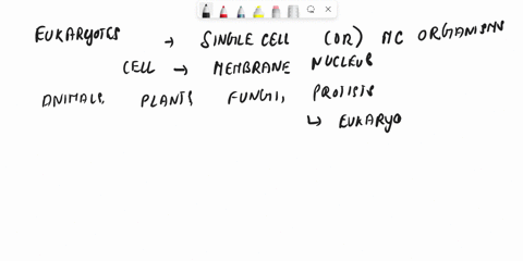which-of-the-following-organisms-would-not-be-made-up-of-eukaryotic-cells-a-monkeys-b-bananas-c-humans-d-bacteria-88906