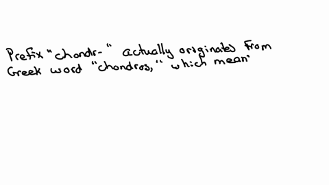 what-is-the-medical-prefix-or-suffix-of-chondro