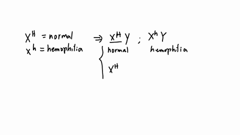 hemophilia-is-a-sex-linked-x-linked-recessive-gene-that-causes-a-blood-disorder-what-are-the-chances-that-the-daughter-of-a-healthy-man-and-a-heterozygous-woman-will-have-hemophilia-group-of-answer-ch