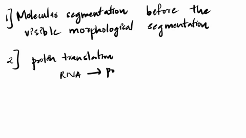 during-fruit-fly-development-molecular-segmentation-of-the-embryo-occurs-visible-morphological-segmentation-before-curing-after-muin-question-some-mrnas-from-the-bacterium-listeria-monocytog-03573